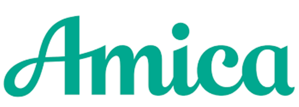 amica auto insurance michigan​